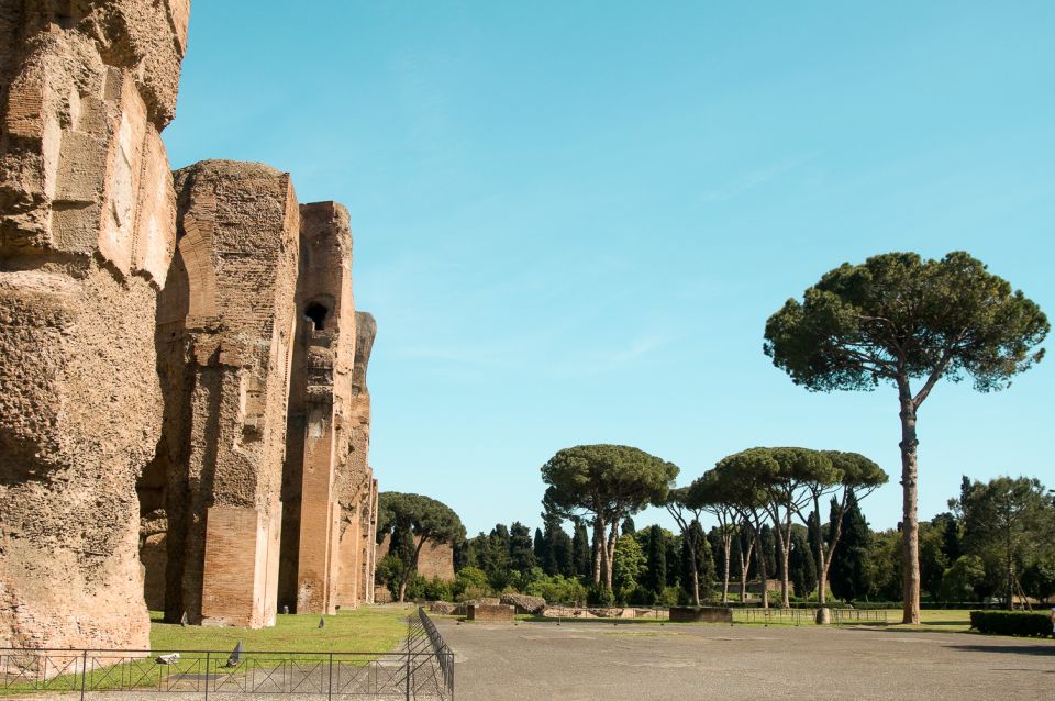 Baths of Caracalla Exclusive Private Guided Tour and Tickets - Walking the Complex: How the Baths Worked Like a Whole City