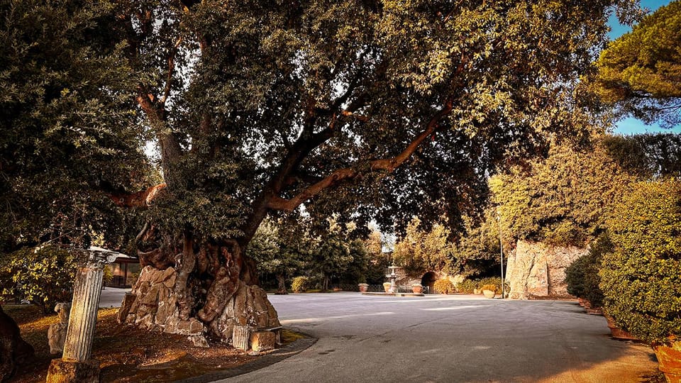 Borgo Laudato Si' - Gardens of Villa Barberini - Villa Barberini Gardens: a rare mix of Rome, popes, and plants