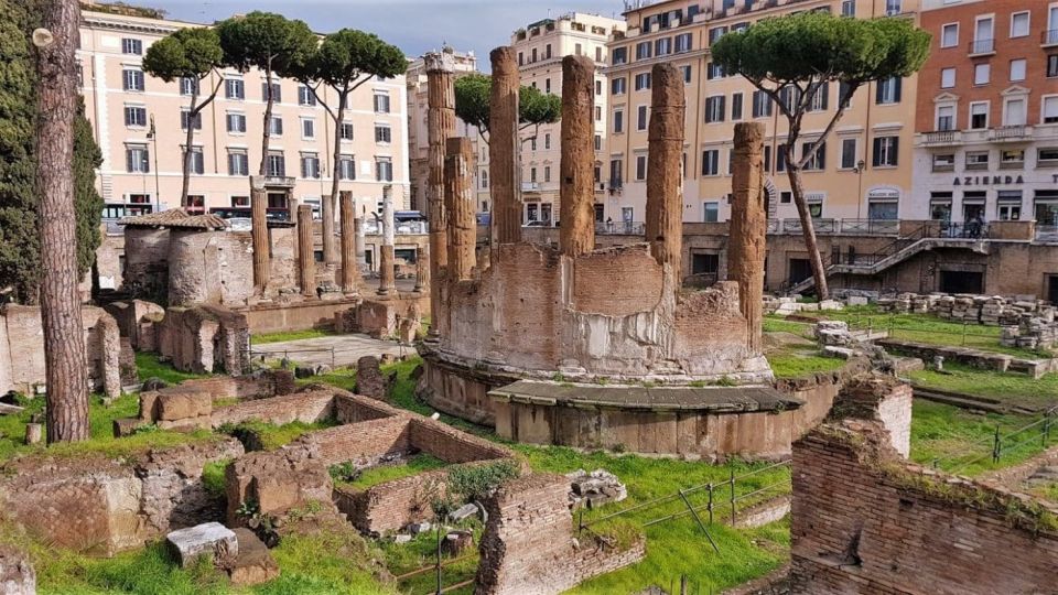 Colosseum, Ancient Rome and Evening Combo Tour - Palatine Hill: the view that makes Rome feel personal