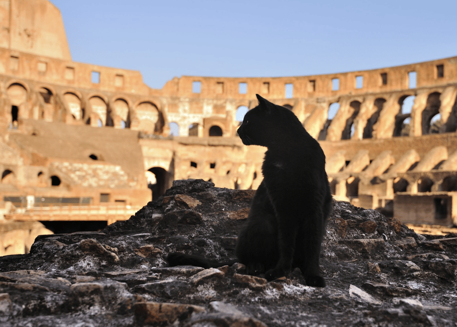 Colosseum, Roman Forum, Palatine Hill - the PRIVATE TOUR - Key Things I’d Watch for Before You Go