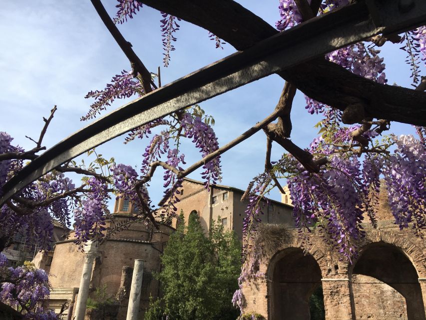 Colosseum, Roman Forum, Palatine Hill - the PRIVATE TOUR - Who Should Book This Private Colosseum, Forum & Palatine Hill Tour?