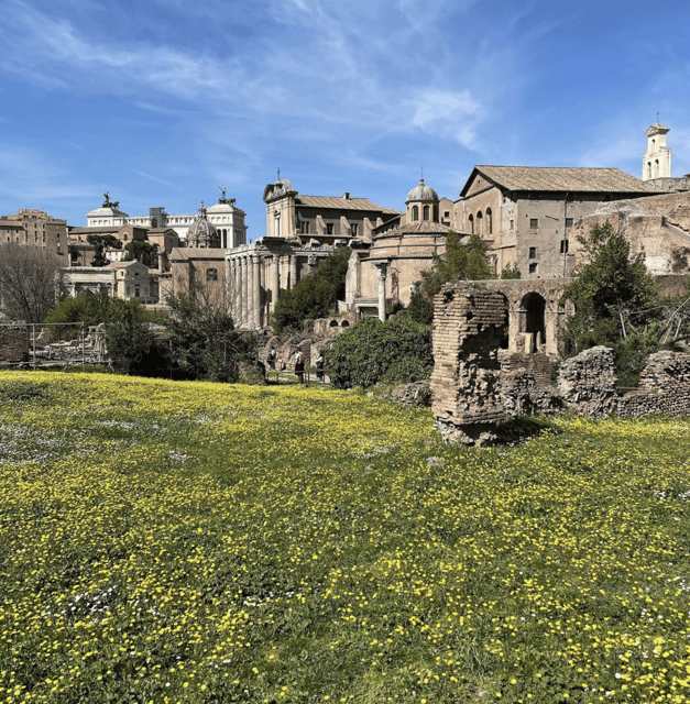 Colosseum, Roman Forum, Palatine Hill - the PRIVATE TOUR - Gladiator Stories in the Colosseum: Past Meets Pop Culture