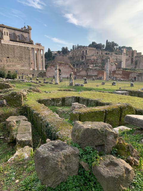 Colosseum, Roman Forum, Palatine Hill - the PRIVATE TOUR - Pace, Comfort, and the Real Value of 3 Hours