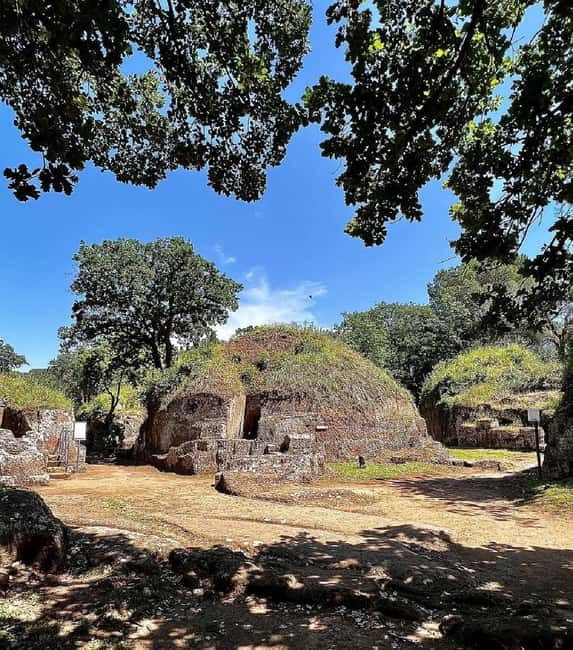 Day trip Rome: Tarquinia and Cerveteri, Etruscan tour - Key Things to Know Before You Go