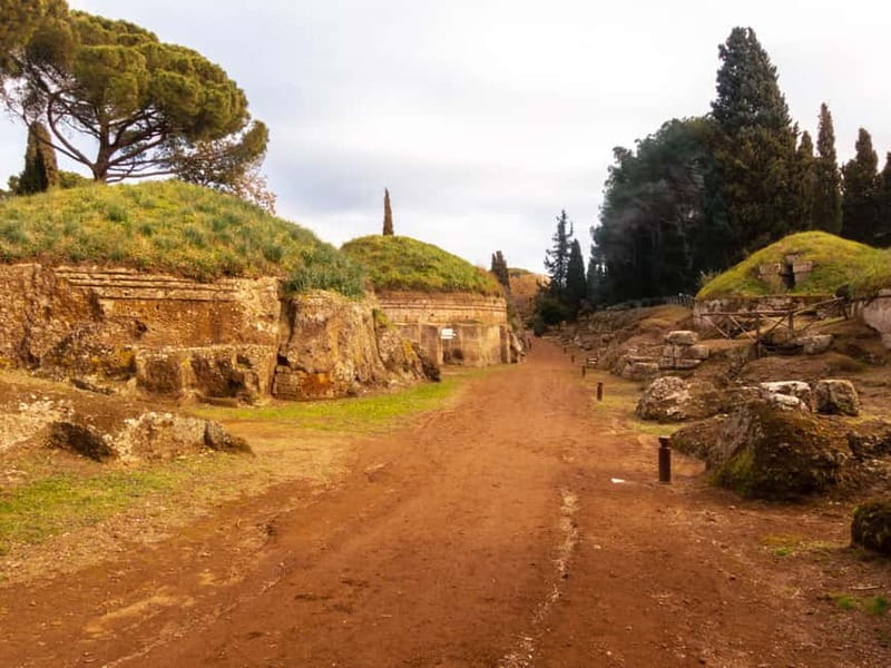 Day trip Rome: Tarquinia and Cerveteri, Etruscan tour - Pace, accessibility, and who should choose this tour