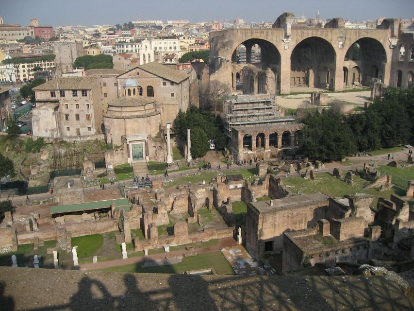 Domus Tiberiana, Palatine Hill and Roman Forum Guided Tour - Golf-Cart Touring: Get Ground Covered Without Losing the Plot
