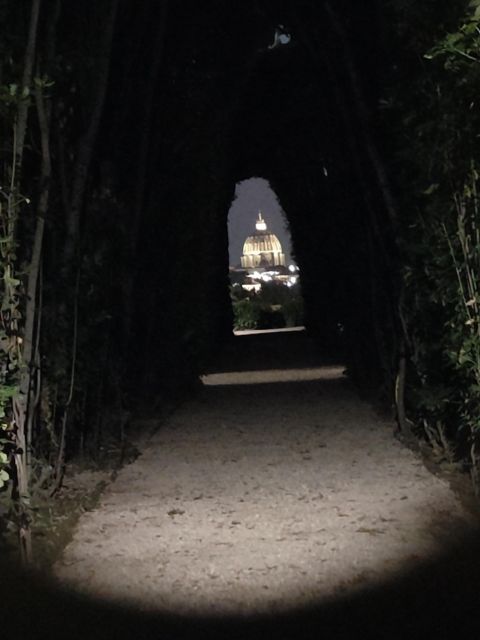 Elegant Rome by night tour and dinner in a local restaurant - Price and value: what $324 for up to 8 really buys you