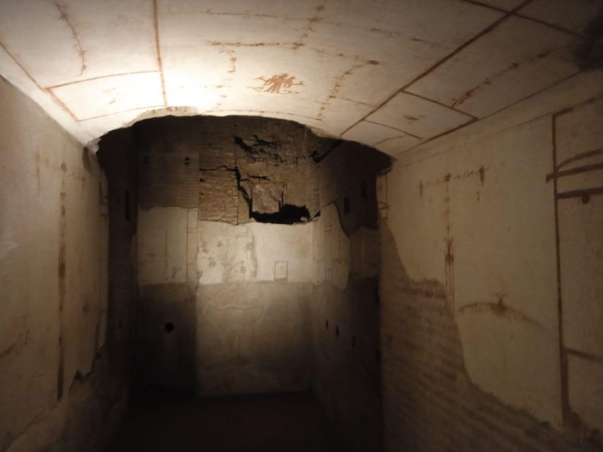 Exclusive tour of Ancient Rome and Domus Tiberiana - Key things to know before you go