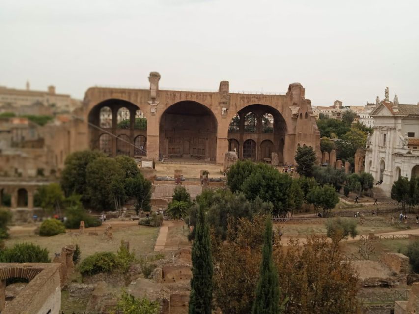 Exclusive tour of Ancient Rome and Domus Tiberiana - Should you book this tour?