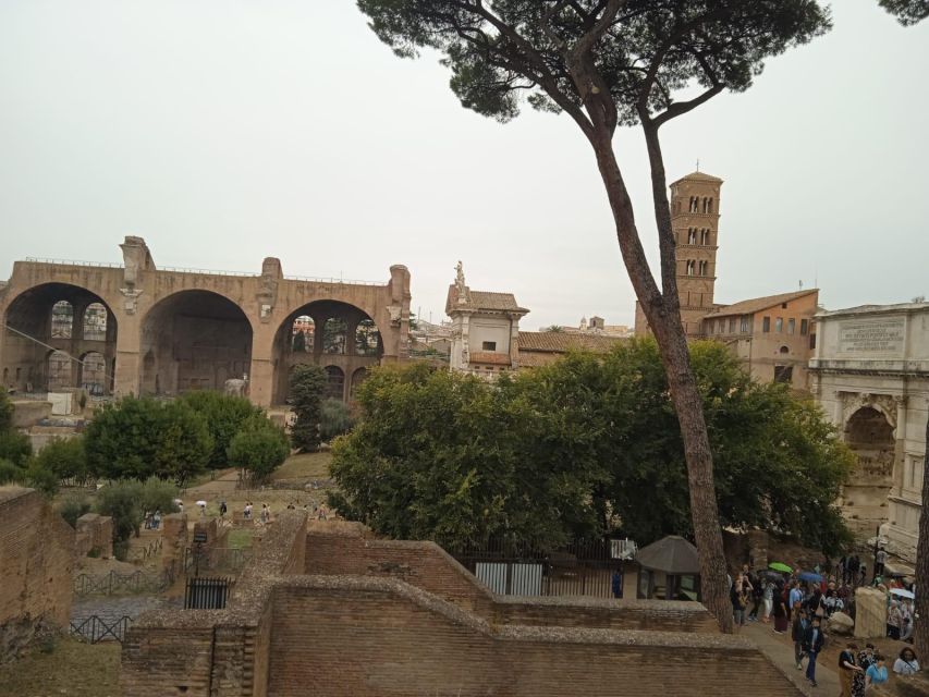 Exclusive tour of Ancient Rome and Domus Tiberiana - Circus Maximus viewpoints: understanding Roman spectacle
