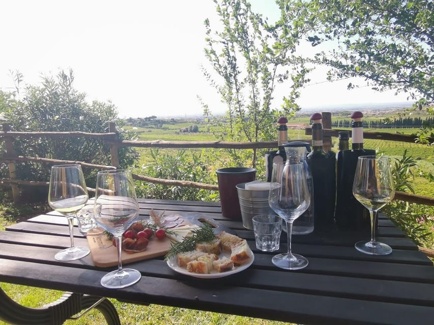 Frascati: 3-Hour Wine and Oil Tasting with Lunch/Dinner - Welcome Refreshments: The Soft Start That Gets You Ready to Taste