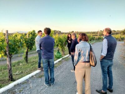 Frascati: 3-Hour Wine and Oil Tasting with Lunch/Dinner - Meeting Point and 2-Hour Timing That Keeps It Focused