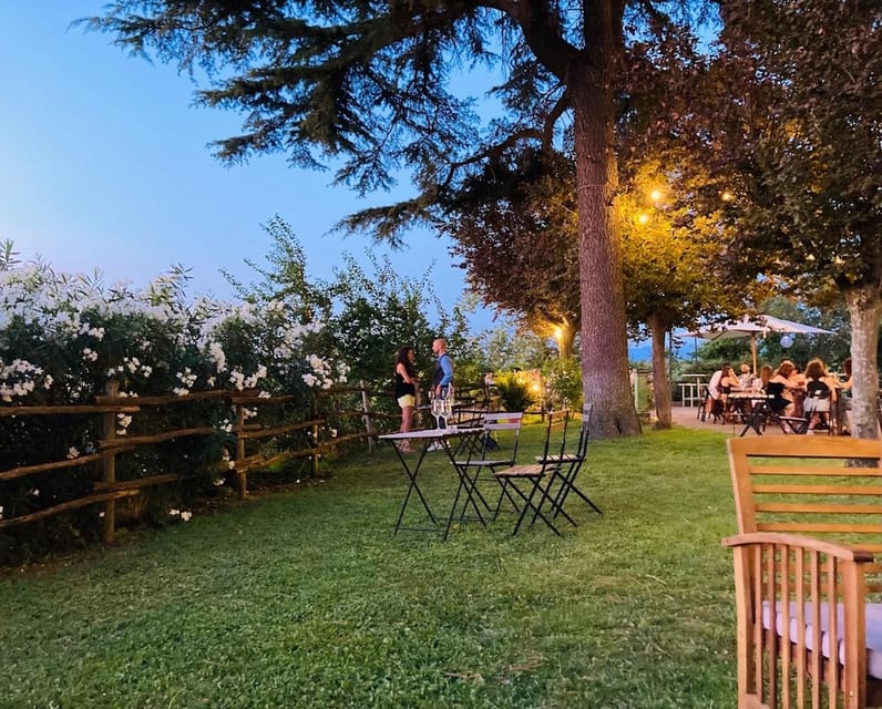 Frascati: 3-Hour Wine and Oil Tasting with Lunch/Dinner - Three Courses Included: When Lunch/Dinner Becomes Part of the Wine Story