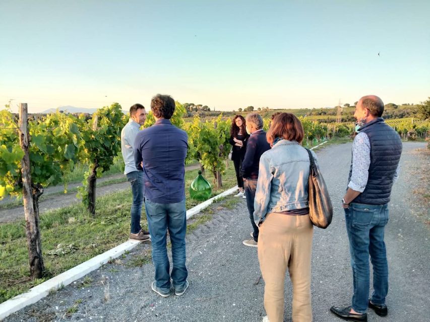 Frascati: 3-Hour Wine and Oil Tasting with Lunch/Dinner - Meeting Point and 2-Hour Timing That Keeps It Focused