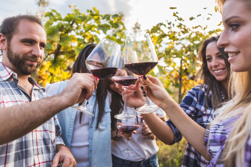 Frascati Private Tour w/ Lunch & Wine Tasting in a Vineyard - A realistic minute-by-minute flow of the day