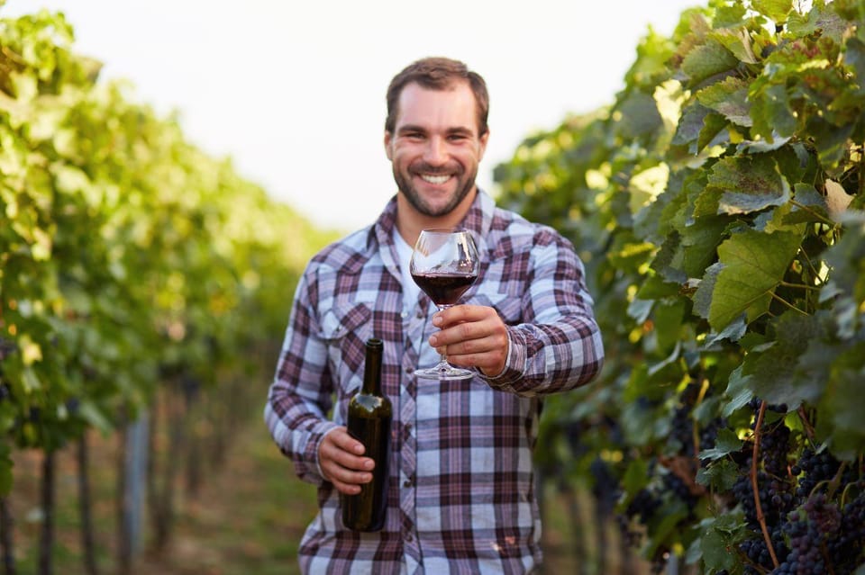 Frascati Private Tour w/ Lunch & Wine Tasting in a Vineyard - Why Frascati is a smart day trip from Rome