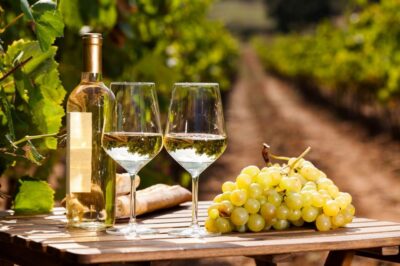 Frascati Private Tour w/ Lunch & Wine Tasting in a Vineyard - The Rome to Frascati train ride: the easiest part of your planning