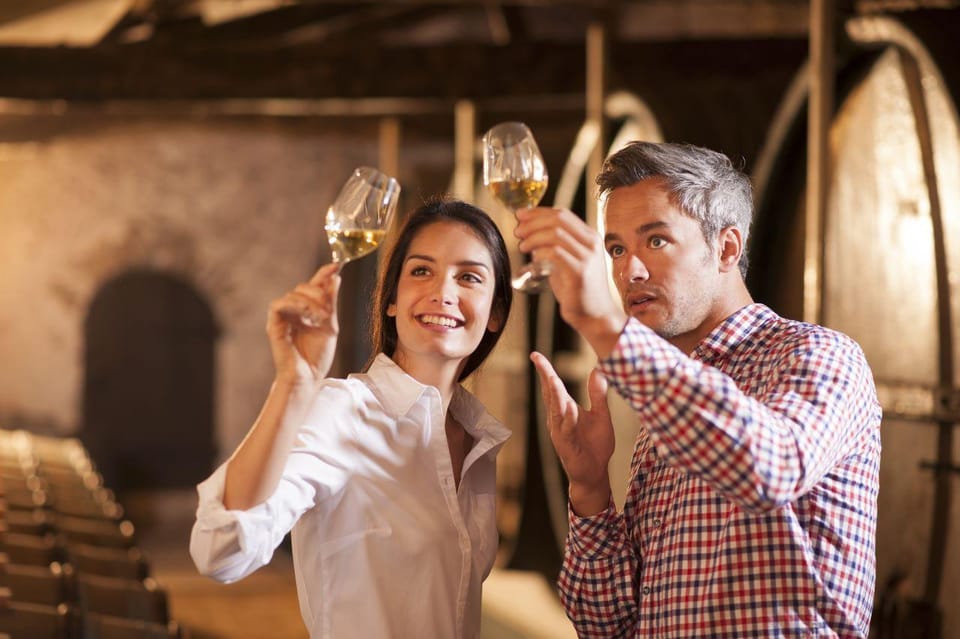 Frascati Private Tour w/ Lunch & Wine Tasting in a Vineyard - Standard vs Full Option: which one fits your hunger level