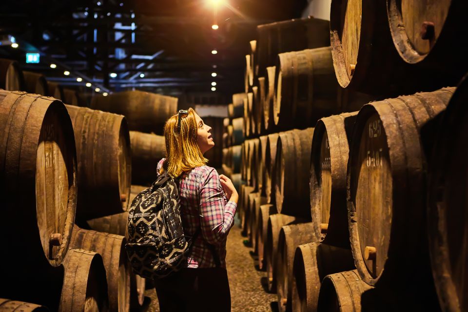 Frascati Private Tour w/ Lunch & Wine Tasting in a Vineyard - Lunch in Frascati: what to expect from the meal format
