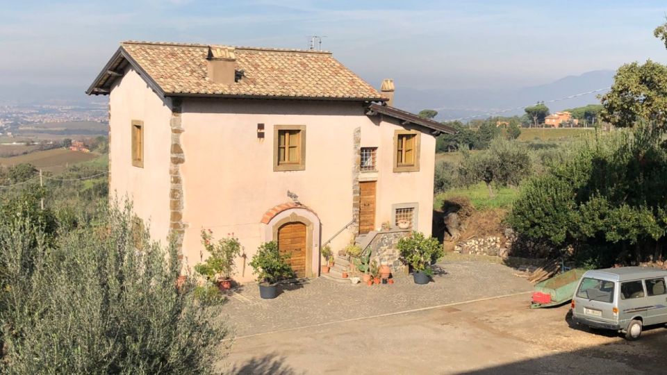Frascati Wine Road from Rome: Tasting & Lunch - The vineyard view tasting: 3 Frascati wines in context