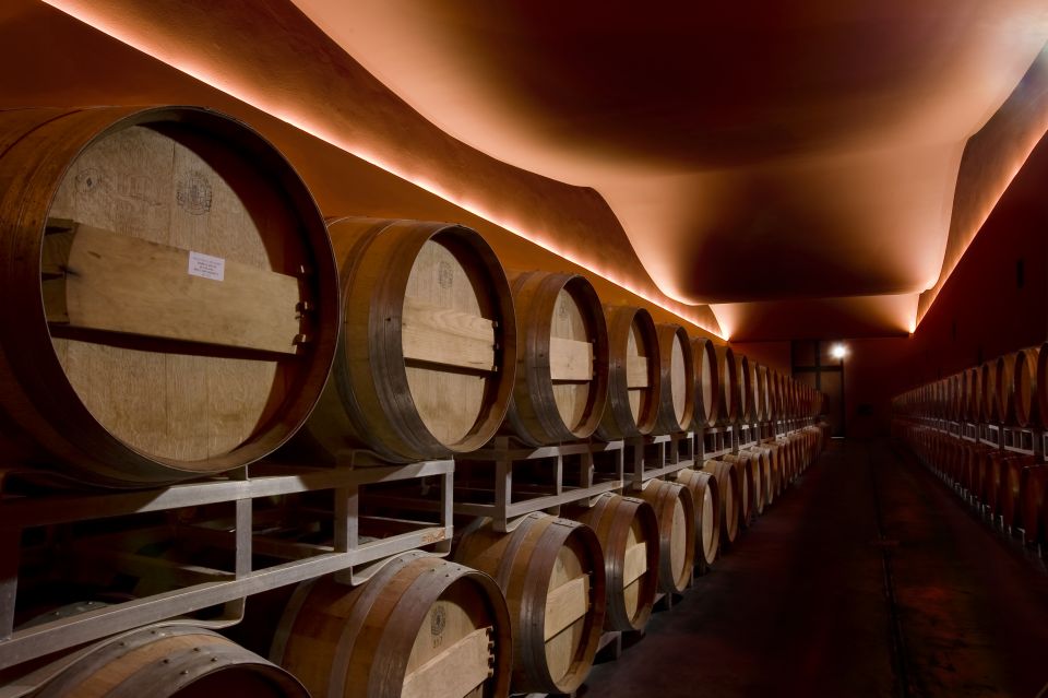 From Civitavecchia: Tuscany-Latium Wine Tour with Tastings - What you taste: whites, reds, and the local-food pairing