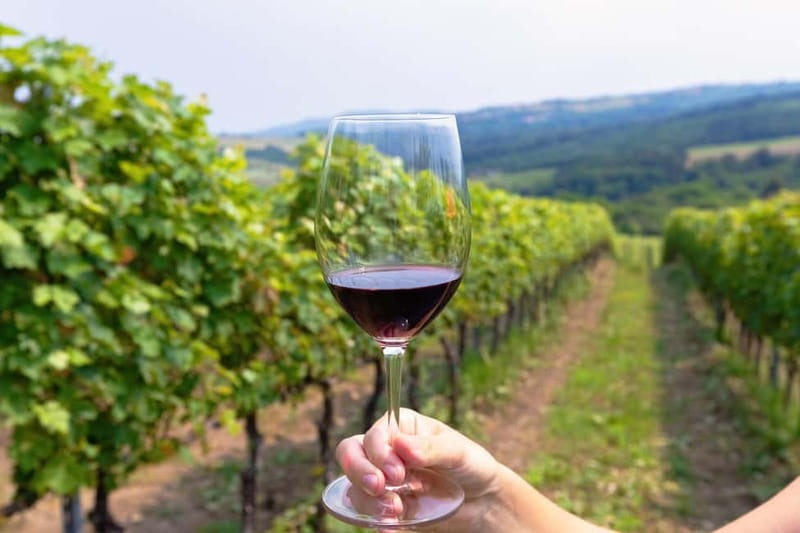 From Roma: Montepulciano and Montalcino, on the Wine Routes - Leaving Rome from Piazza del Popolo: your easy start