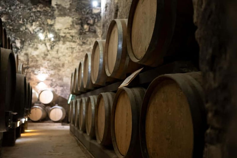 From Roma: Montepulciano and Montalcino, on the Wine Routes - Who this tour fits best (and who should choose something else)