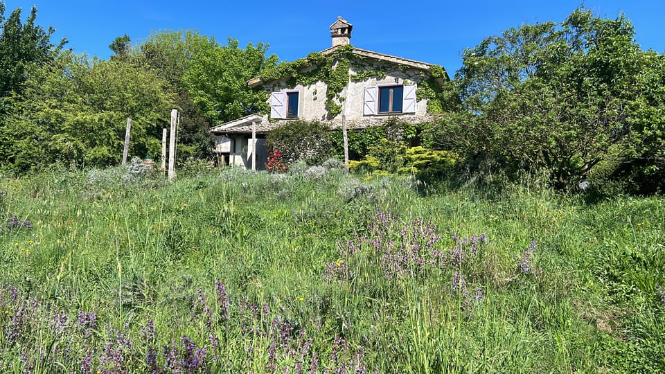 From Rome: Bracciano Lake & Calcata Day Trip, Wines & Lunch - Rome-to-Lazio: why Bracciano and Calcata work so well together