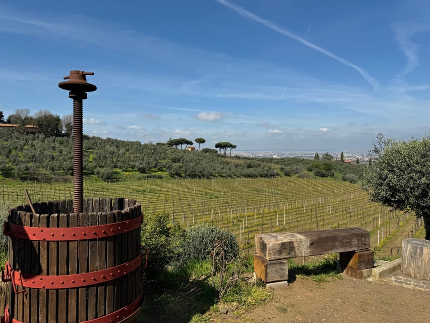 From Rome: Frascati Wine Tour with Lunch and Vineyard tour - Key highlights you’ll feel right away