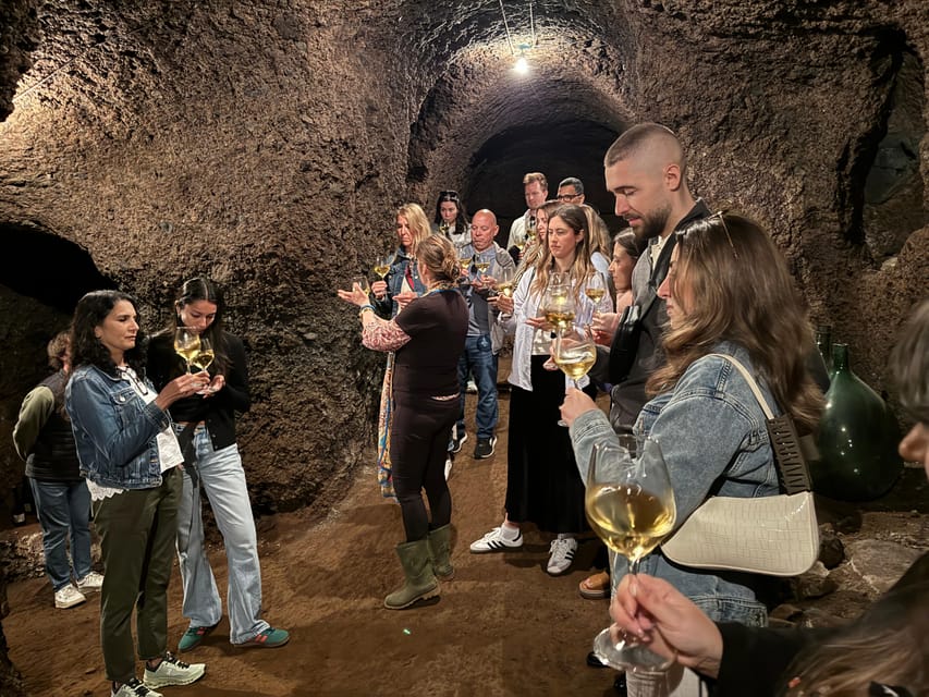 From Rome: Frascati Wine Tour with Lunch and Vineyard tour - Should you book the Frascati Wine Tour with Lunch?