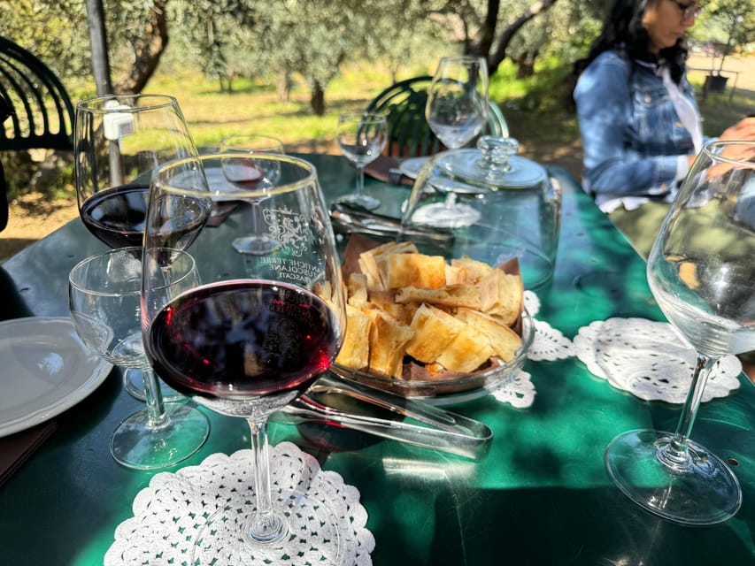 From Rome: Frascati Wine Tour with Lunch and Vineyard tour - Vineyards, a 16th-century farmhouse, and a Roman-era wine cave