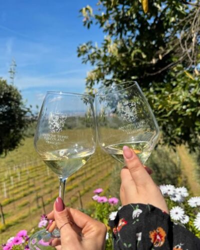 From Rome: Frascati Wine Tour with Lunch and Vineyard tour - Meet Marco and ride into the vineyards