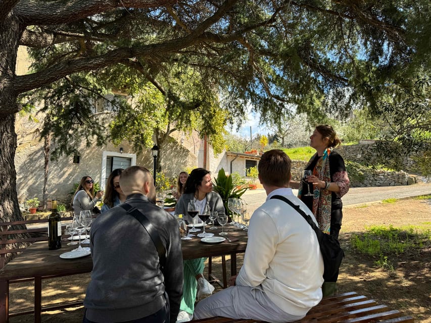 From Rome: Frascati Wine Tour with Lunch and Vineyard tour - The wine tasting: how 3 bottles teach the Frascati story