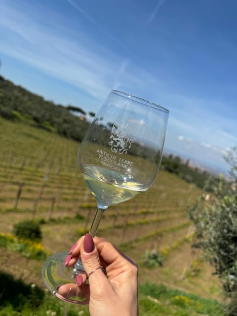 From Rome: Frascati Wine Tour with Lunch and Vineyard tour - Price and value: is $123.48 worth it?