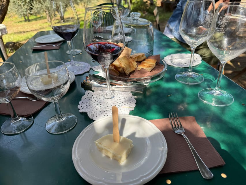 From Rome: Frascati Wine Tour with Lunch and Vineyard tour - Who this tour fits best (and who should rethink it)