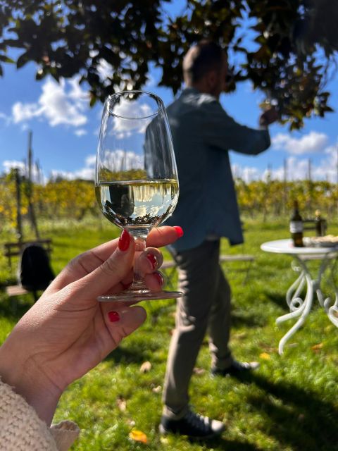 From Rome: Pasta Masterclass & Wine Tour in the Vineyard - Lunch at the farmhouse: the meal you actually worked for