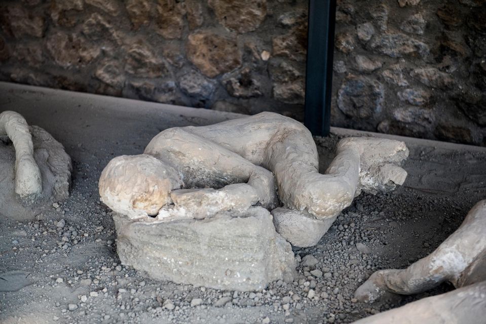 From Rome: Pompeii and Herculaneum by High-Speed Train - Should you book this Pompeii and Herculaneum day trip from Rome?