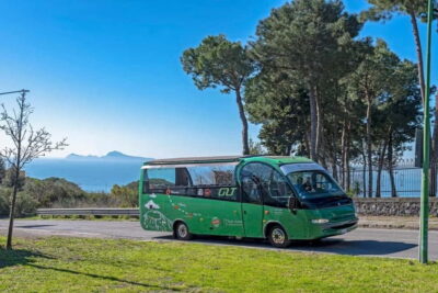 From Rome: Pompeii and Vesuvio Guided Day Trip with Lunch - Walking Pompeii with a local guide: what the excavations teach you