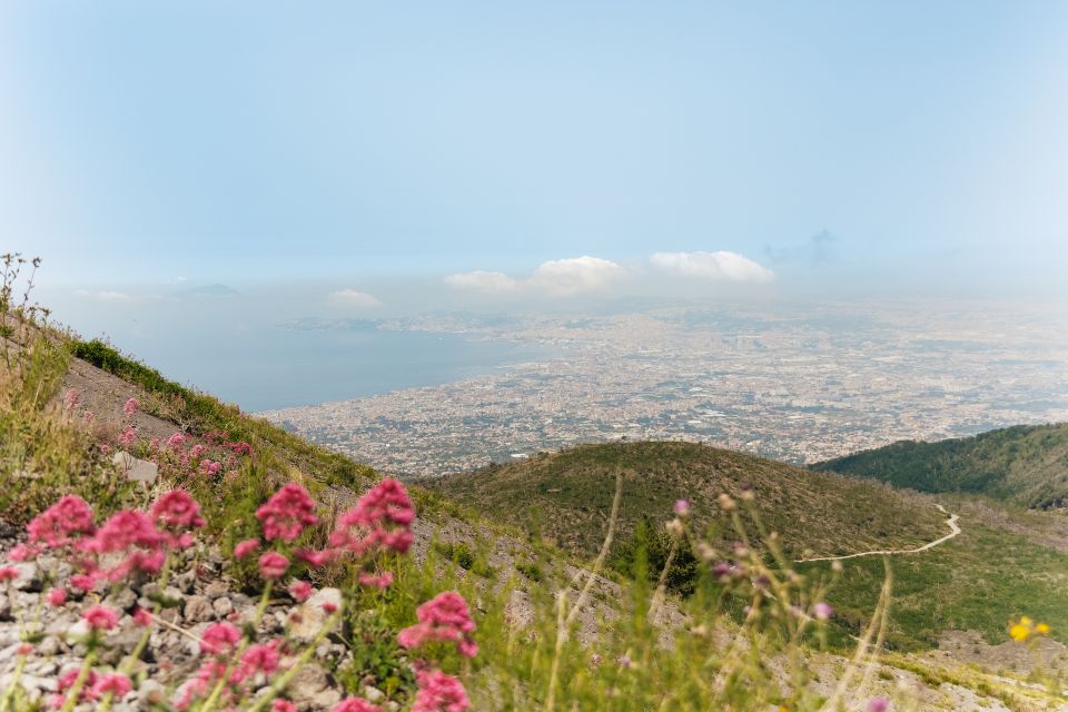 From Rome: Pompeii Day Trip with Optional Vesuvius and Lunch - Timing, stops, and why the day can feel long