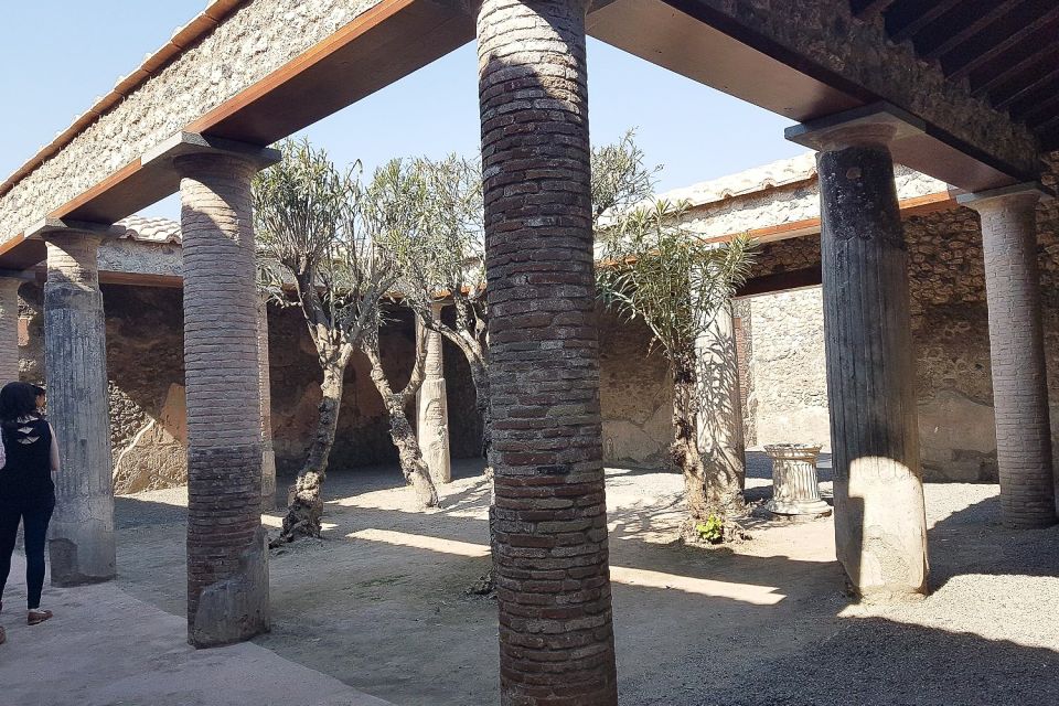 From Rome: Pompeii & Naples Small-Group Day Tour with Lunch - What you actually see in Pompeii: markets, baths, banquet areas, and homes