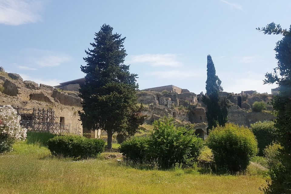 From Rome: Pompeii & Naples Small-Group Day Tour with Lunch - Biologic Farm lunch and wine tasting: local food, real break, and a mixed read