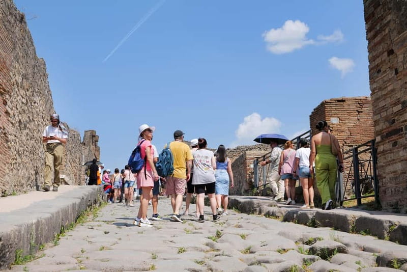 From Rome: Pompeii Ruins Tour with Expert Guide & Fast Train - Roma Termini start, with inStazione’s plan doing the heavy lifting