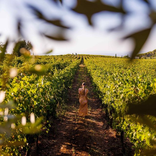 From Rome: Private Day-Tour of Tuscany - Key highlights worth planning for