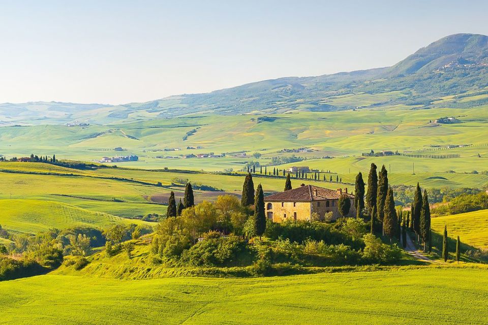 From Rome: Private Day-Tour of Tuscany - Wine and cheese moments: what the tasting experience is really doing