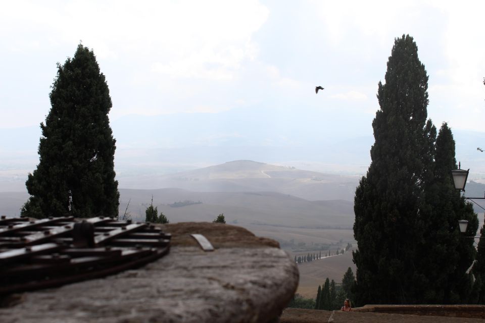 From Rome: Private Day-Tour of Tuscany - Montepulciano’s underground wine cellars (and why they’re worth it)