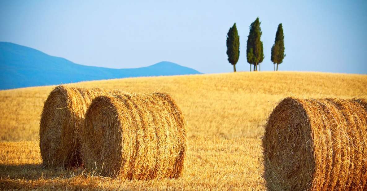 From Rome: Private Tuscany Day Trip - Key things to know before you go