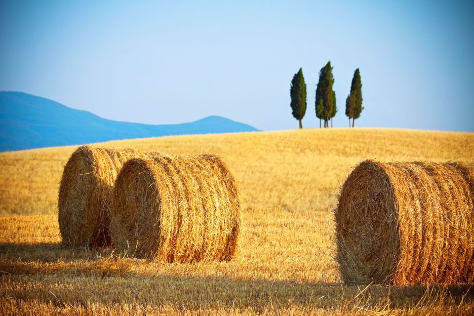 From Rome: Private Tuscany Day Trip - Pienza: Renaissance cathedral energy and the Piccolomini palace area