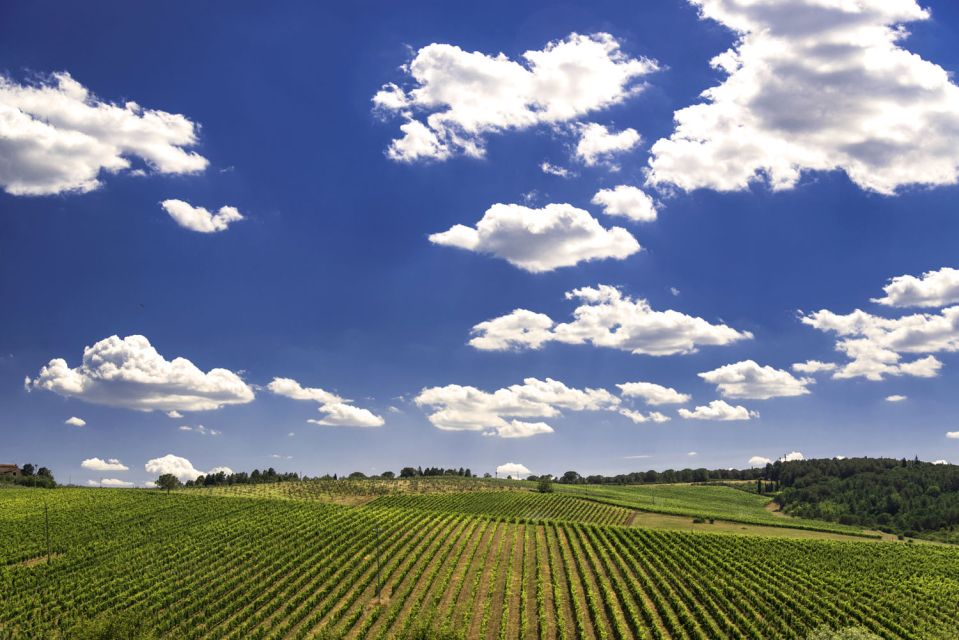 From Rome: Private Tuscany Day Trip - Comfort, group size, and how the day keeps moving