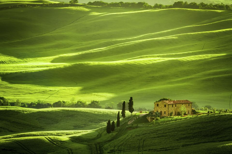 From Rome: Private Tuscany Day Trip - Your Mercedes pickup and the road toward Val d’Orcia
