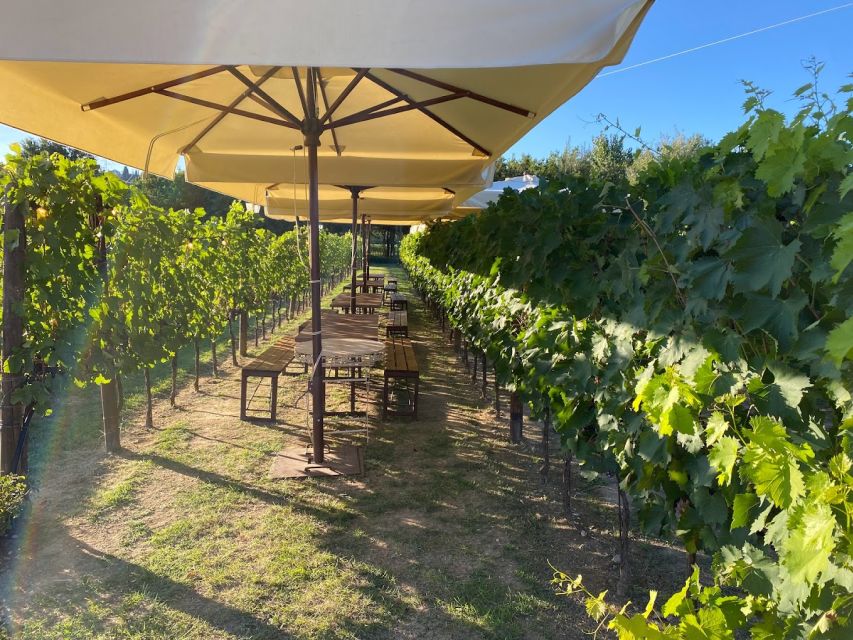 From Rome: Siena and San Gimignano, Tuscan Wine Day Tour - Key highlights I think you’ll care about